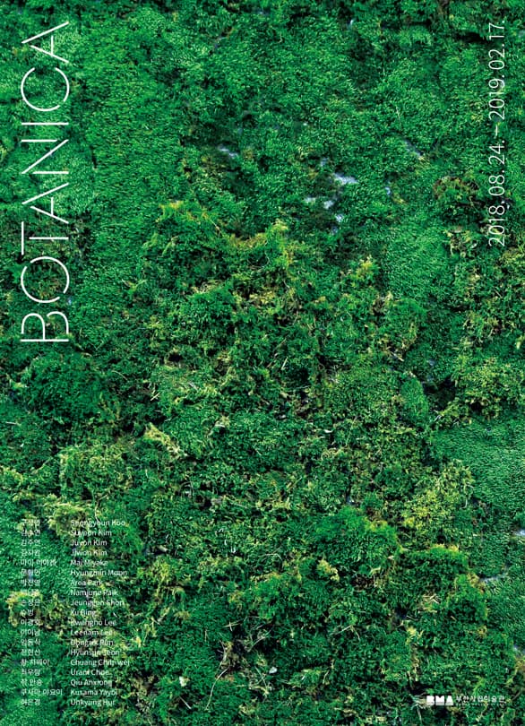 보태니카 BOTANICA 1
