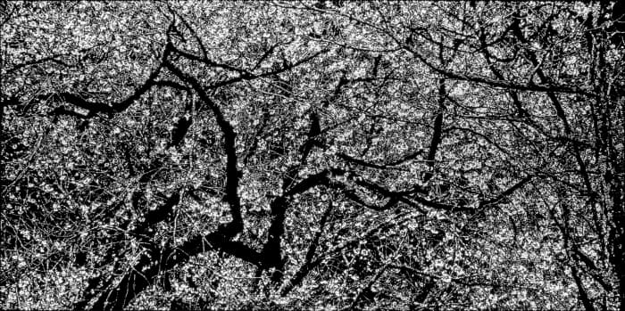 Emptiness_blossom 124x244x10cm LED Laminate 2016