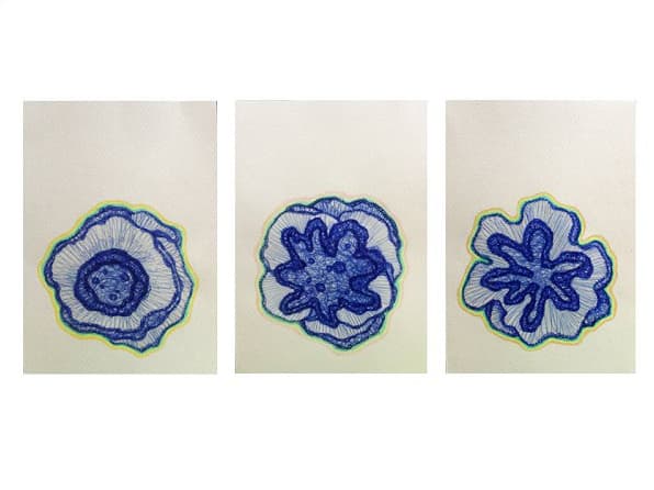 황수현, <식물채집>, pen, color pencil, gel medium on paper, 45x21cm, 2017
