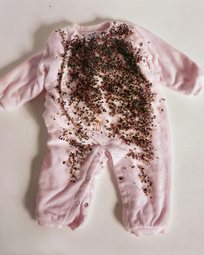 식물의 사생활VII The private life of plants VII Photo, Pigment print 80x100cm 2008