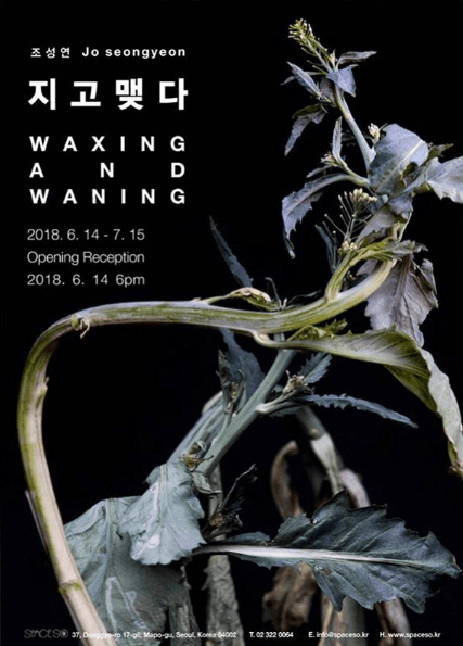조성연 개인전 : 지고 맺다 Jo seongyeon: Waxing and Waning 1