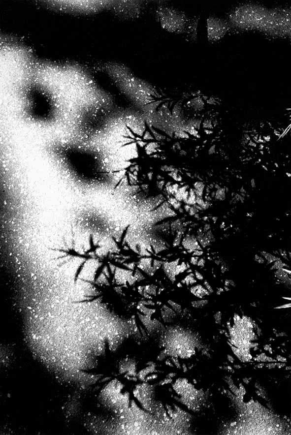 Ralph Gibson : MONO 1
