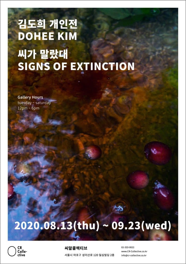 김도희 개인전 : 씨가 말랐대 Dohee Kim : Signs of Extinction 1