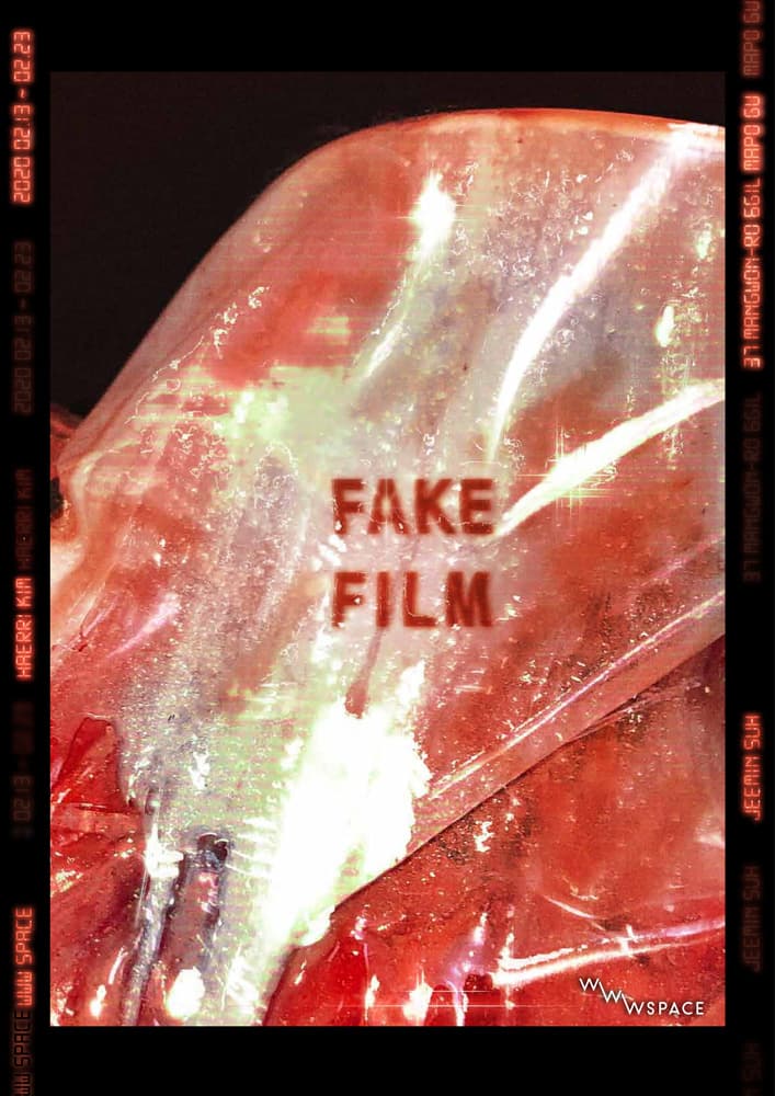 FAKE FILM 1
