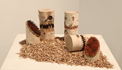 ARPNY VIBES : VARIABLE FORMS