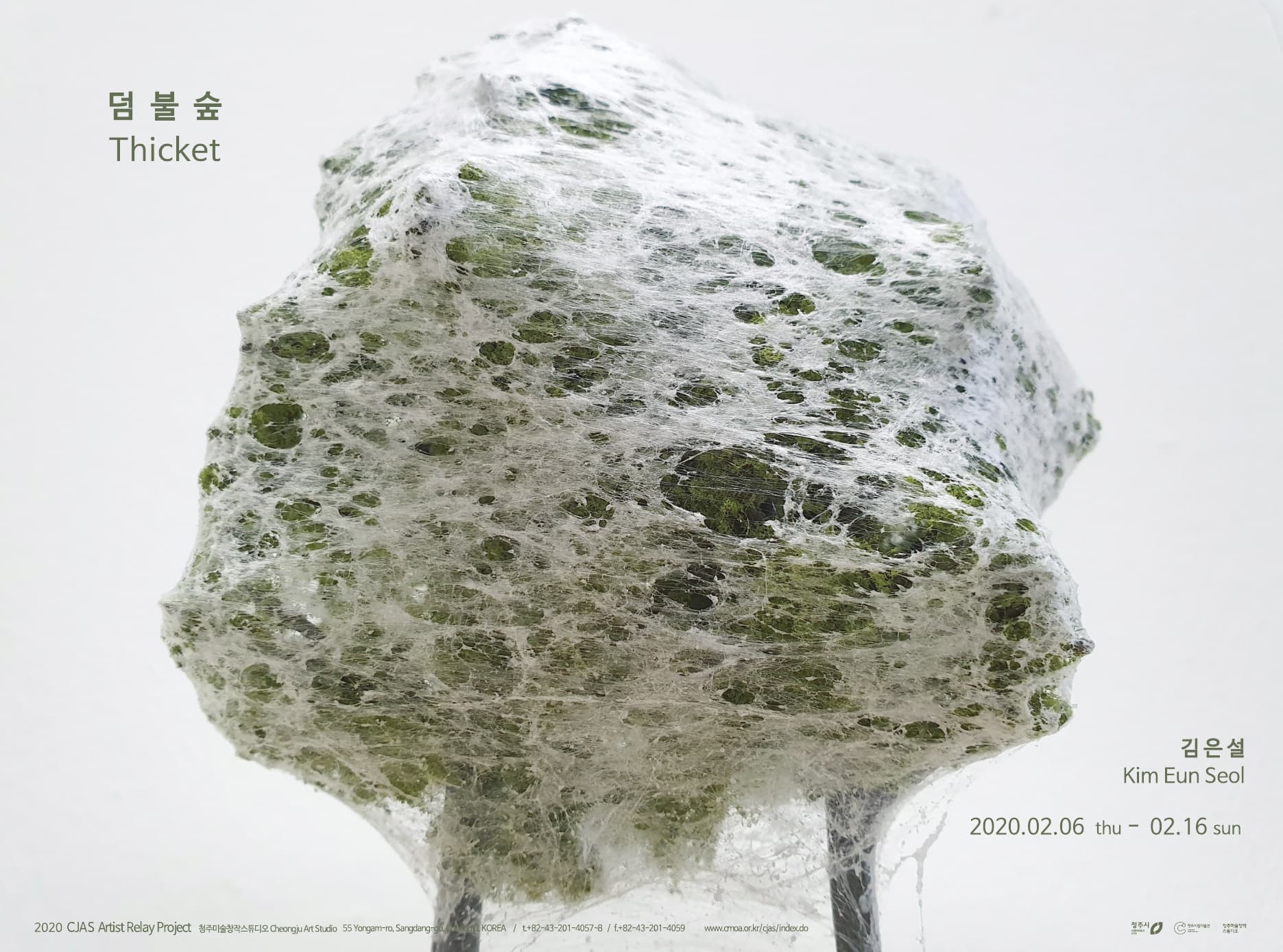 김은설 : 덤불숲 Kim Eun Seol : Thicket 1