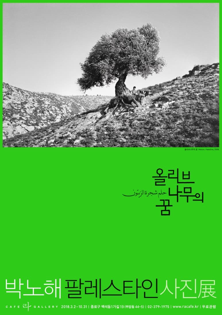박노해 사진전 : 올리브 나무의 꿈 1