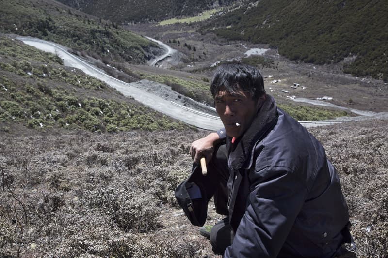 양병만_ The Tibetan