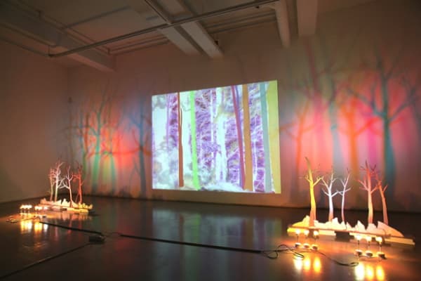 김안나, Forest: yours and mine / Dimensions vary / Single-channel video, styrofoam, cardboard boxes, lamps / 2016  