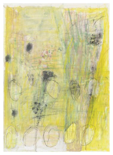 장현주-풀의 그늘 , 장지에분채 , 68x50cm, 2017