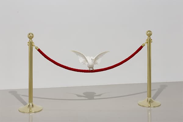 김명범, Untitled, 2017, Mixed media, Dimensions variable, 제공: 리안갤러리 대구