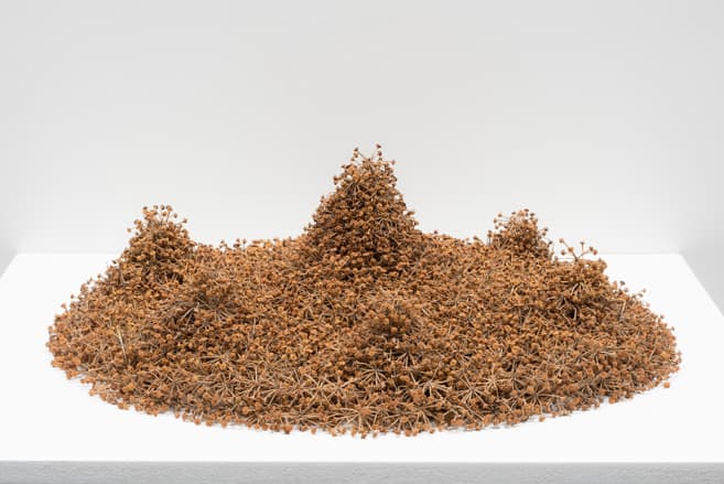 Little Temple (Kleiner Tempel),2006,Ivy seeds, 13 x 35 x 32 cm