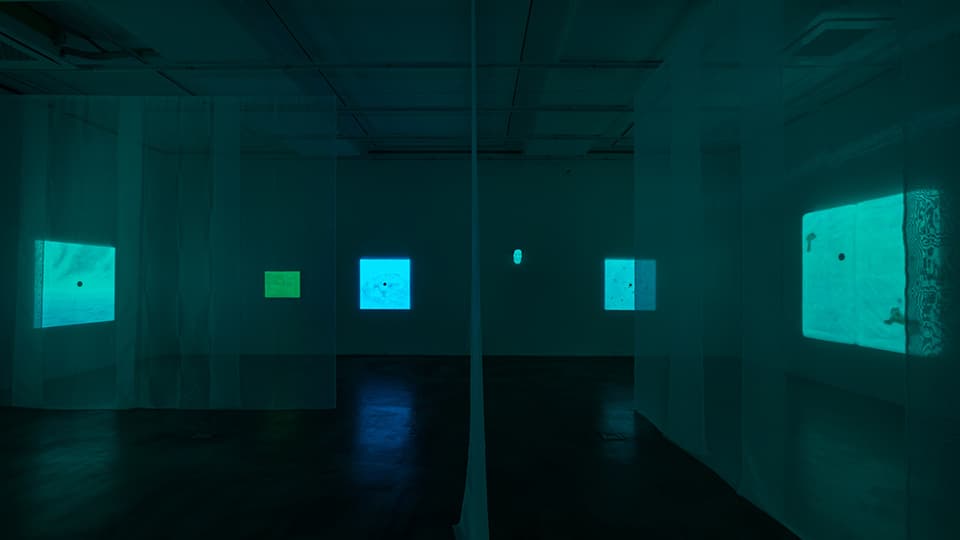 Installation view of Daydreamers Tears, Gallery Simon, 2020