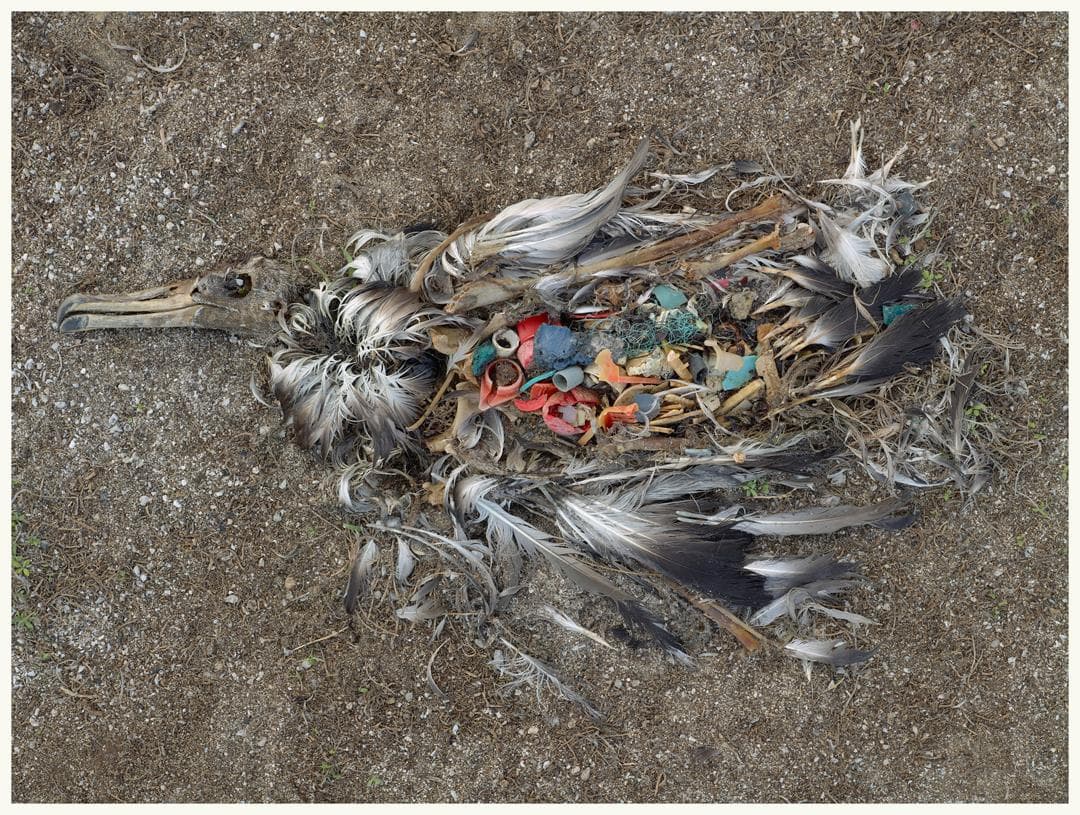 크리스 조던 : 아름다움 너머 Chris Jordan : Intolerable Beauty 1