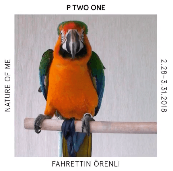 파레틴 오렌리 FAHRETTIN ÖRENLI : NATURE OF ME 1
