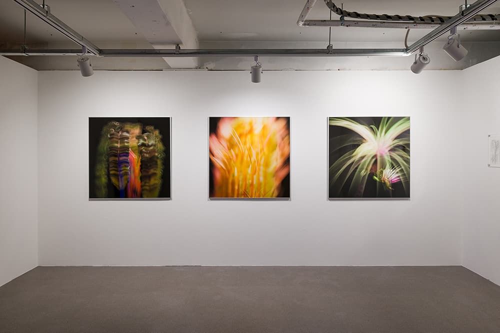 Uljiro Kim, Harvesting perspective series, 2023_Photo (c)Jinsol Kim