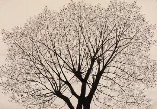 Arai Kei, 나무3 樹象三 , Chinese ink on handmade paper , 173.5×249cm , 2017