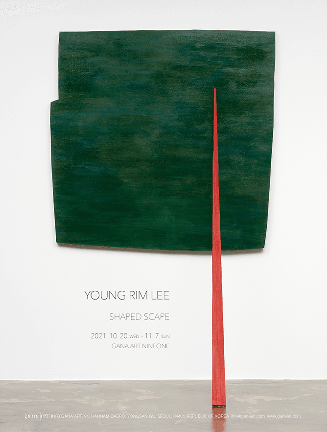 이영림: Shaped Scape 1