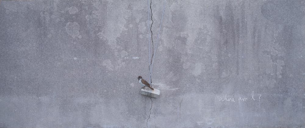 Honggoo Kang, Zero fighter, acrylic on photo, 100x150cm, 2015