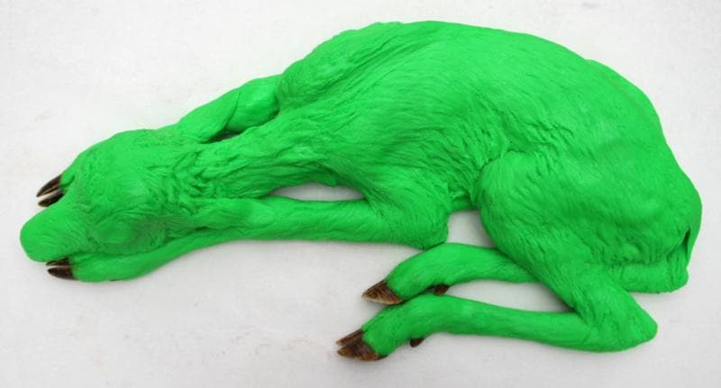 Carsten Höller. Reindeer, 2009. Luminous green colored polyurethane, deer hoof, blue glass eyes, 10 x 28 x 56 cm. © Carsten Höller. Courtesy the artis