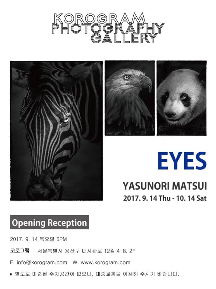 Yasunori Matsui : Eyes 1