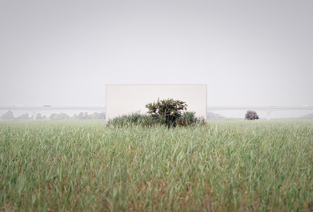 이명호,  Tree #19_2 , (L)780x(W)1080mm, Glass+Ink+Paper+Wood, 2021