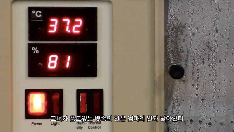 파란알, 2019, 싱글 채널 영상, 15분