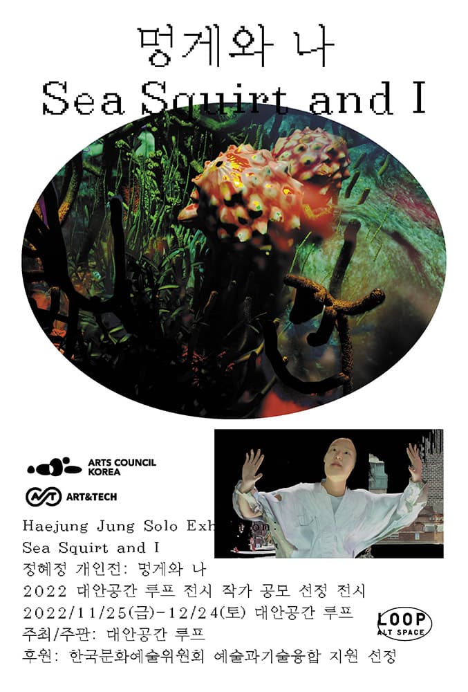 정혜정 개인전: 멍게와 나 HAEJUNG JUNG: SEA SQUIRT AND I 1
