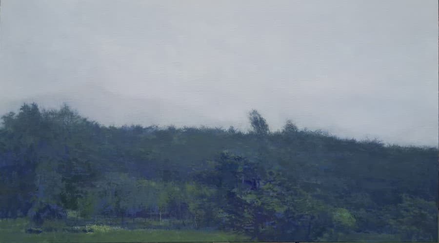 흐르는 풍경-인제 구곡,acrylic on canvas,116.8x91,0cm, 2015