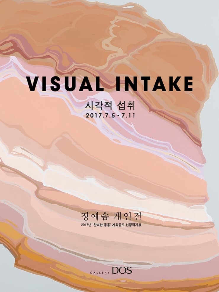 정예솜 : VISUAL INTAKE 시각적 섭취 1