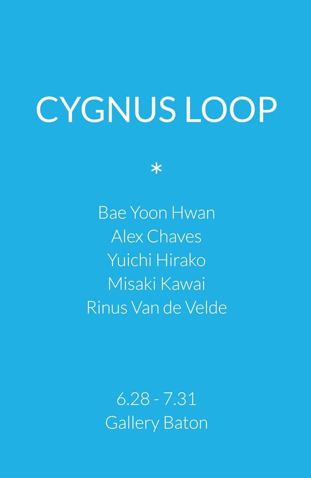 시그너스 루프 Cygnus Loop 1