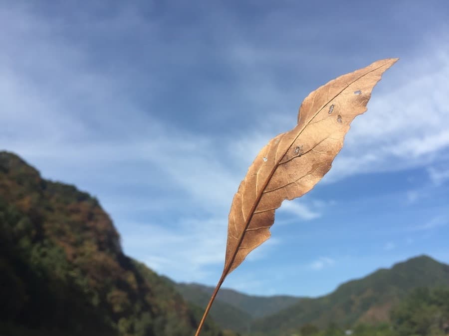 다수리교류전5 나는 사진하며 이렇게 산다 송의준 사진전 : 감속 1
