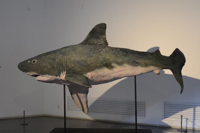 이기철, Camouflage Seires No.1, 340x160x140cm, 2012