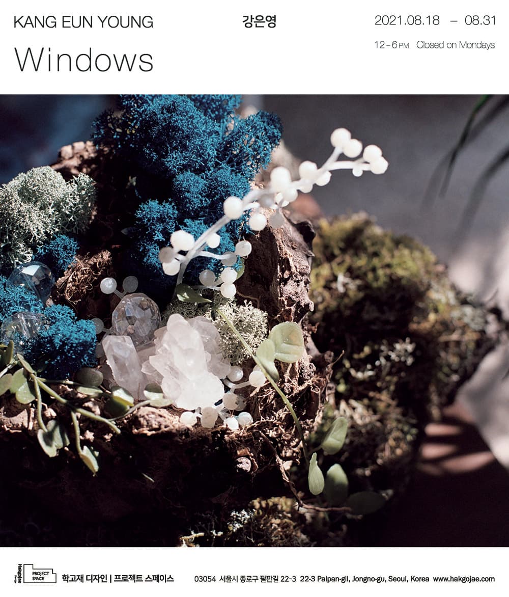 강은영 개인전: Windows 1