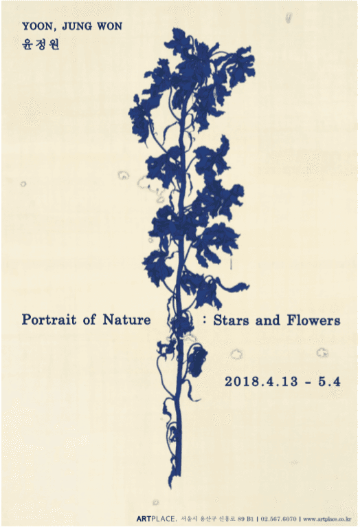 윤정원 - 꽃(사물), 별(세계)의 초상 YOON JUNGWON - Portrait the Nature: Stars and Flowers 1