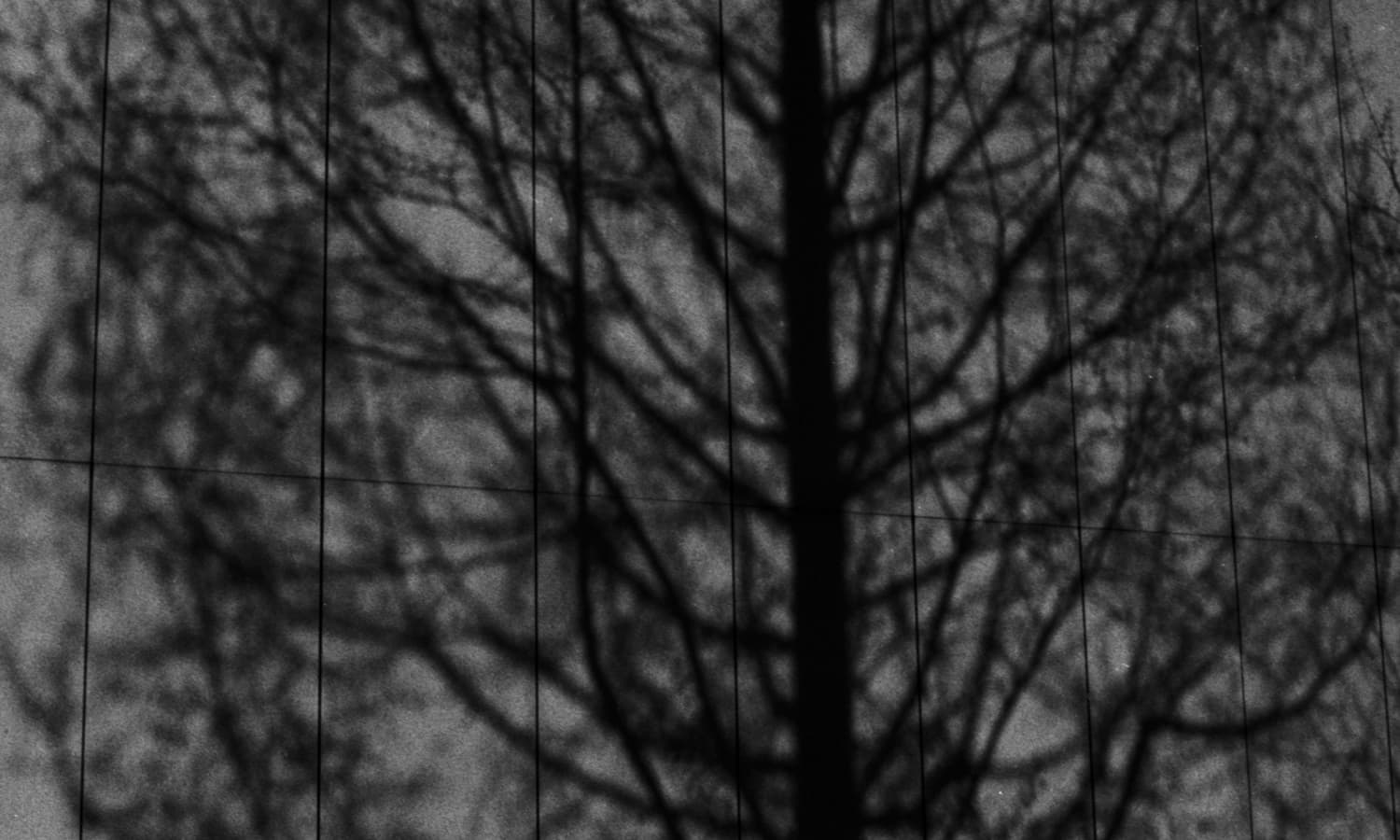 현홍, a better place to kiss you. at the break of day no.12. gelatin silver print. 8×10 inch. 2016