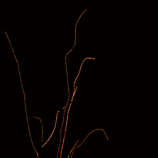 Dreamscape 225-6