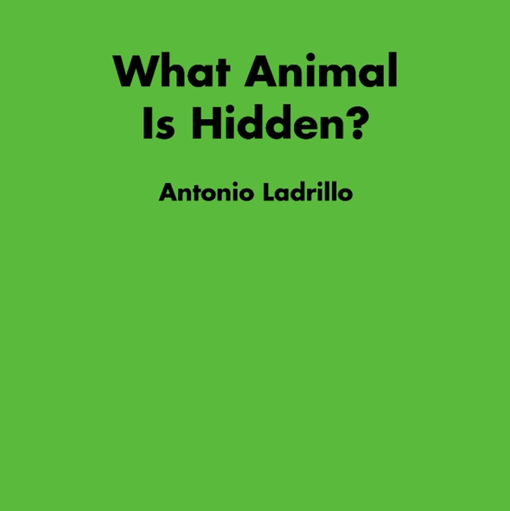 안토니오 라드릴로 Antonio Ladrillo: What Animal Is Hidden? 1