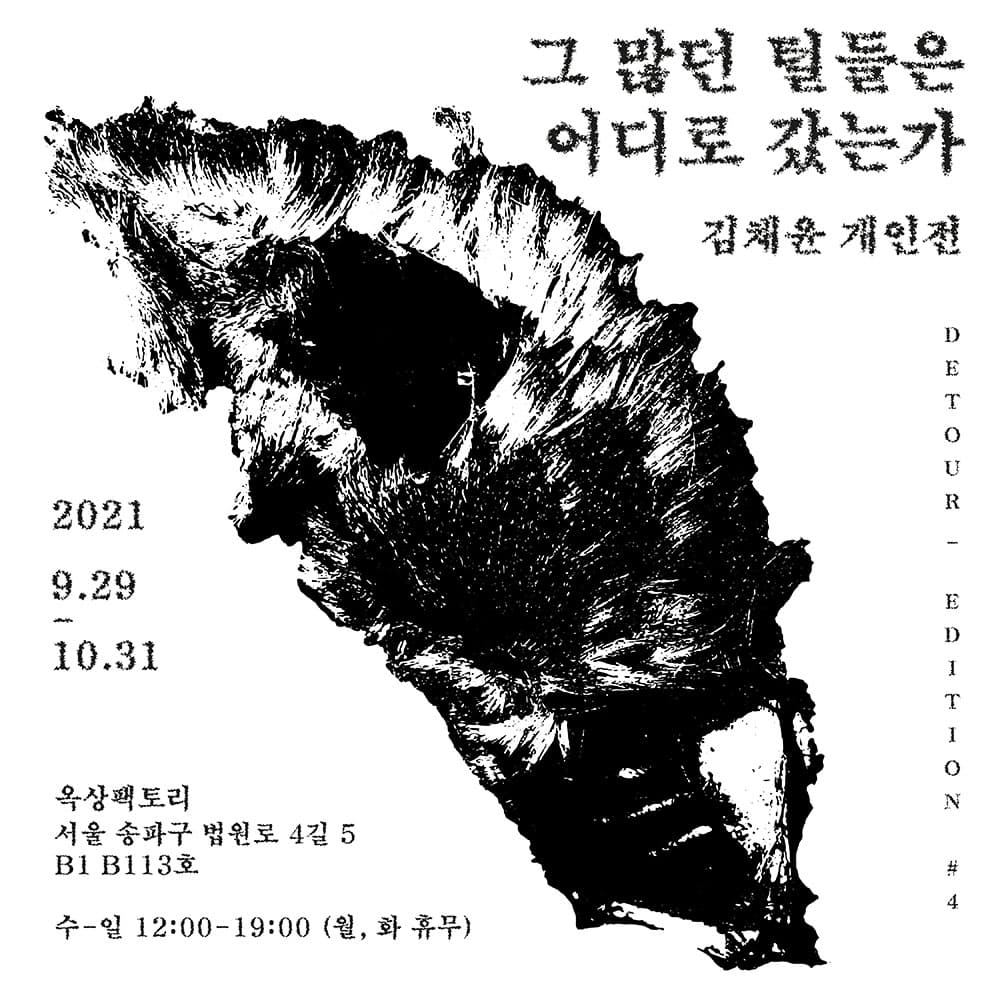 김채윤 개인전: 그 많던 털들은 어디로 갔는가 1