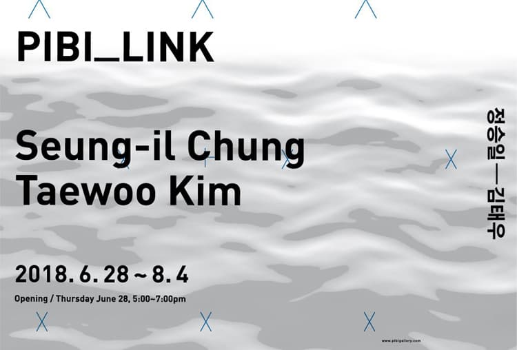 피비_링크 : 정승일 · 김태우 PIBI_LINK : Seung-il Chung · Taewoo Kim 1