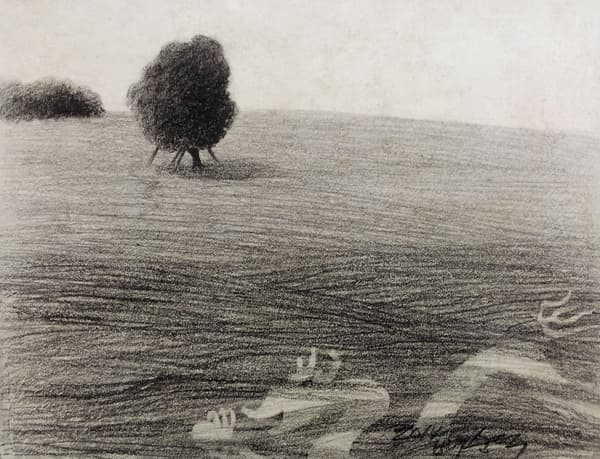 신사신도-청룡, pencil on Oriental paper, 38cm× 30cm, 2014