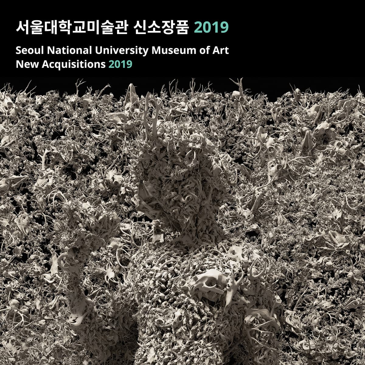 서울대학교미술관 신소장품 2019 1