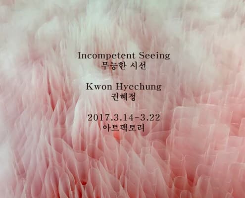 권혜정 개인전 : 무능한 시선 Incompetent Seeing 1