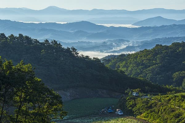 2015.9. 강릉시 왕산면 대기리