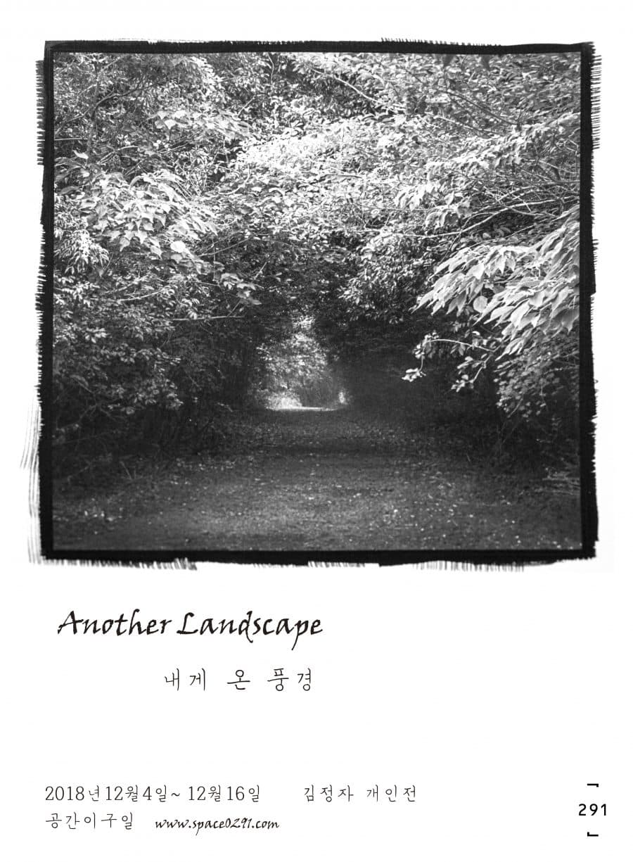 김정자: 내게 온 풍경 Another Landscape 1