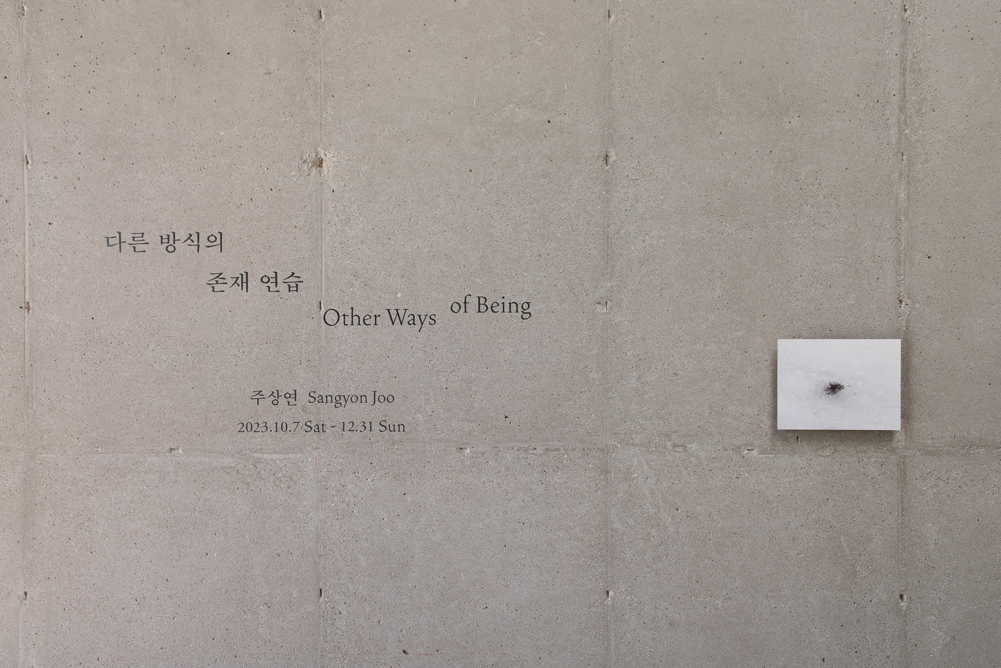 다른 방식의 존재 연습 Other Ways of Being 2