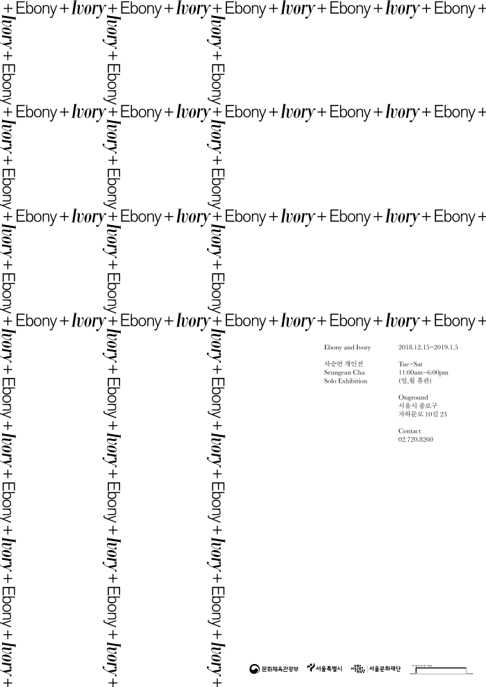 차승언 개인전 : 애보니 & 아이보리 Seungean Cha : Ebony and Ivory 1