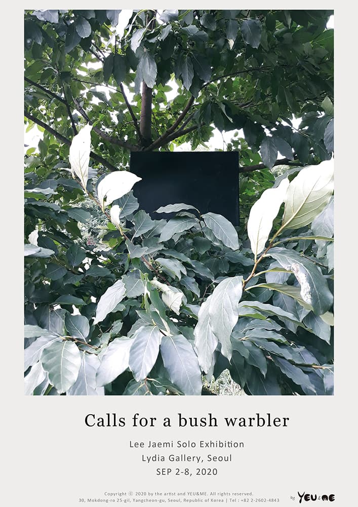 이재미 개인전 : Calls for a bush warbler 1