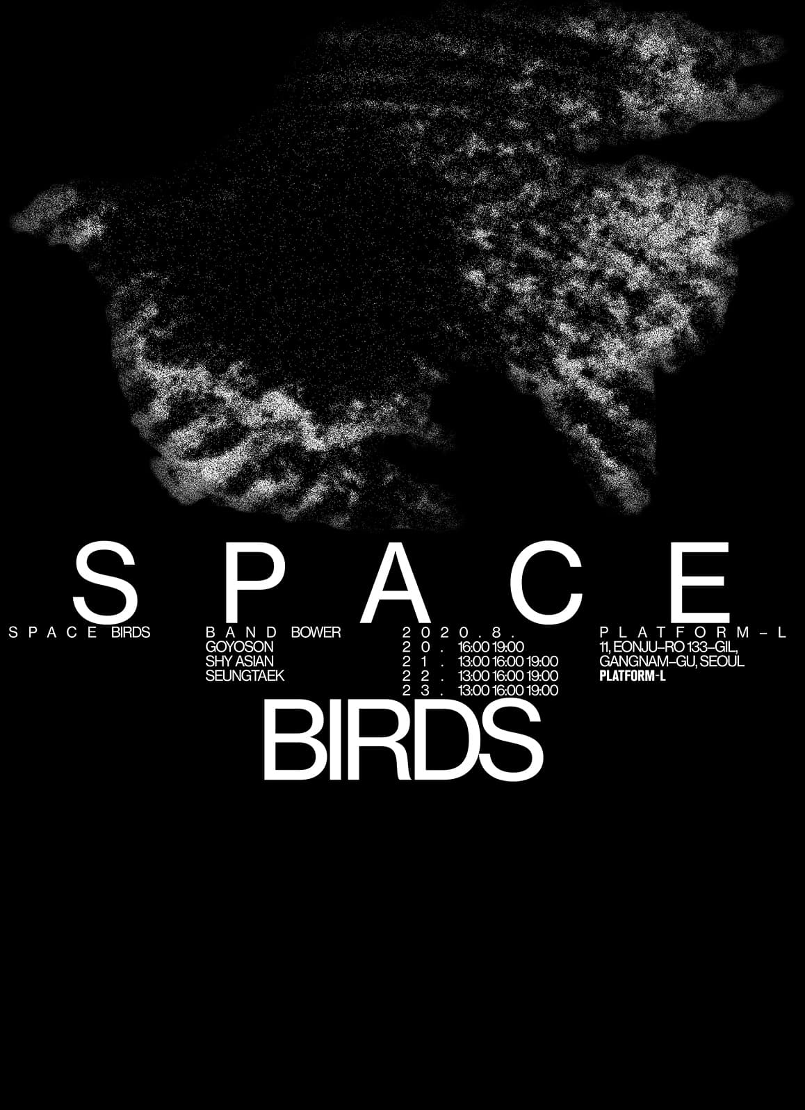 Space Birds 1