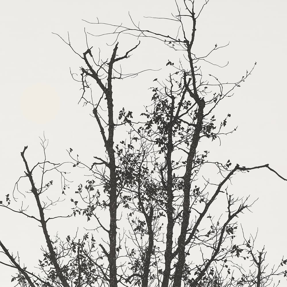 김종규_가을에서 겨울로_비단에 수묵_70×70cm_2022